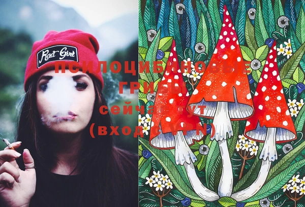 MESCALINE Нязепетровск