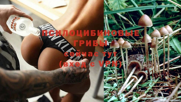 хмурый Няндома