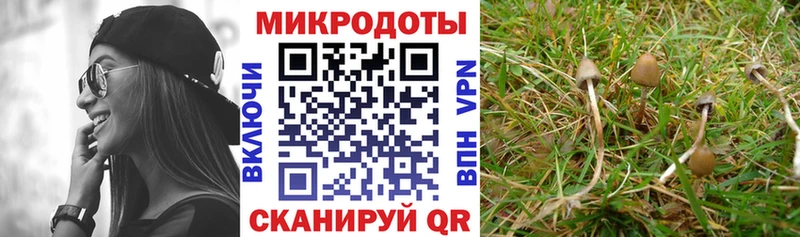 Купить закладки  Яхрома  Галлюциногенные грибы прущие грибы 